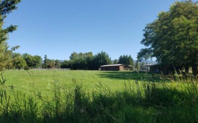 Stephen Kardell, dba LocationsLA